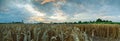 Panorama view of beautiful countryside scene cultivated fields. Rural landscape with wheat field in countryside. Wheat ears foregr Royalty Free Stock Photo