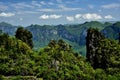 Panorama view of beautiful forest and grand canyon landscape Royalty Free Stock Photo