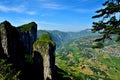 Panorama view of beautiful forest and river valley landscape Royalty Free Stock Photo