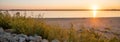 Panorama view blooming wildflower at rocky bank of Grapevine Lake, Texas, US with first appearance of light the sky at dawn, Royalty Free Stock Photo