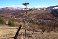 Panorama view of Ciresoaia village in Romania