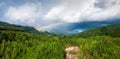 Panorama view, colorful rainbow over tropical mountain valley in the rain, scenic landscape green forest and stream in countryside Royalty Free Stock Photo