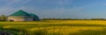 Panorama view of countryside with biogas plant. Yellow flowering rapeseed field with agricultural factory in the countryside.Renew