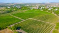 Panorama view of Cricova vineyard in Moldova Royalty Free Stock Photo