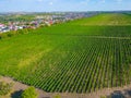 Panorama view of Cricova vineyard in Moldova Royalty Free Stock Photo