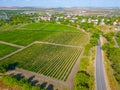 Panorama view of Cricova vineyard in Moldova