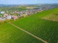 Panorama view of Cricova vineyard in Moldova Royalty Free Stock Photo