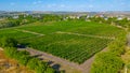 Panorama view of Cricova vineyard in Moldova Royalty Free Stock Photo