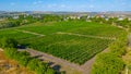 Panorama view of Cricova vineyard in Moldova