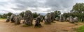 Panorama view of the Cromlech of the Almendres megalithic complex in the Alentejo region of Portugal