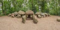 Panorama view of Dolmen D27