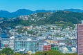 Panorama view of downtown Wellington, New Zealand Royalty Free Stock Photo