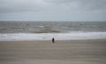 Panorama view of elderly couple walking along sand beach near Westkapelle Domburg Veere Zeeland Netherlands North Sea Royalty Free Stock Photo