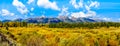 Panorama View of Fall Colors surrounding the Cloud covered Peaks of the Grand Tetons In Grand Tetons National Park Royalty Free Stock Photo