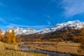 Golden autumn in Engadin