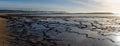 Panorama view of golden evening light reflectiing in tidal pools on a rocky beach with the ocean behind Royalty Free Stock Photo