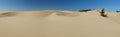 Panorama View Of Oregon Dunes USA