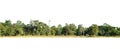 Panorama View of a High definition Tree line Royalty Free Stock Photo