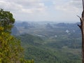 Panorama view at the jungle hiking trail to dragon crest with a tree in front in Khao Ngon Nak in Krabi, Thailand, Asia