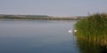 Panorama view from Kis(s) Balaton in Hungary Royalty Free Stock Photo