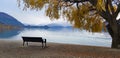 Panorama view landscape view at Wanaka lake New zealand in autumn Royalty Free Stock Photo