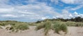 Panorama view of large sand dunes with marsh grass and reeds under a blue sky with white cumulus clouds