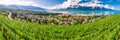 Panorama view of Montreux city with Swiss Alps, lake Geneva and vineyard on Lavaux region, Canton Vaud, Switzerland, Europe Royalty Free Stock Photo