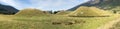 Panorama view mound formations New Zealand Royalty Free Stock Photo