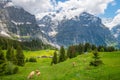 Panorama view on mountains Eiger and Mattenberg