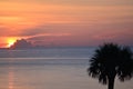 A panorama view of an ocean sunrise as seen from the beach Royalty Free Stock Photo