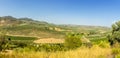 A panorama view of olive trees dotting the hillside in Andalusia near to the town of Montefrio, Spain