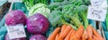 Panoramic organic red, green cabbage, broccoli, carrots and garlic at farmer market in Washington, USA Royalty Free Stock Photo