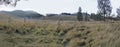 Panorama view of Oro Oro Ombo in Semeru Mountain with meadow and