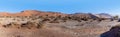 A panorama view past desert shrub towards the sand dunes in Sossusvlei, Namibia Royalty Free Stock Photo