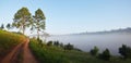 Panorama View from Phu Tub Berk, Petchabun, Thailand