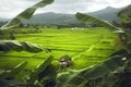 Panorama View point from coffee shop on the top of mountains of Ban Sapan Royalty Free Stock Photo