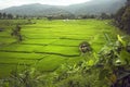 Panorama View point from coffee shop on the top of mountains of Ban Sapan Royalty Free Stock Photo