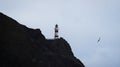 Panorama view of red and white stripes lighthouse on top of oceanside cliff hill, Cape Palliser Wellington New Zealand Royalty Free Stock Photo