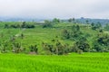 Panorama view on rice terraces Jatiluwih Royalty Free Stock Photo