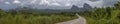 Panorama view of a road on the tropical landscape, with forest and mountains Kumbira forest reserve