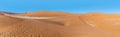 A panorama view of sand dunes and the dead valley in Sossusvlei, Namibia Royalty Free Stock Photo