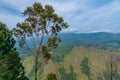 Panorama view of Sri Lanka highlands from Ella rock Royalty Free Stock Photo
