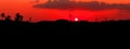 Panorama view sunset in sky beautiful colorful landscape silhouette city countryside and tree woodland twilight time art of nature Royalty Free Stock Photo