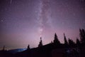 Panorama view universe space shot of milky way galaxy with stars on a night sky with Pine Trees Silhouette