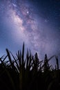 Milky way galaxy with hill under amazing starry night sky