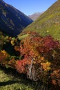 Panorama view on valleys and mountains in Ortler Alps.