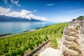 Panorama view of Villeneuve city with Swiss Alps, lake Geneva and vineyard on Lavaux region, Canton Vaud, Switzerland, Europe Royalty Free Stock Photo