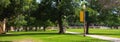 Panorama view walkway under canopy tree, light pole banners and student walking, historic buildings large college campus in Waco,