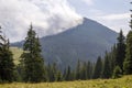 Panorama view of white cloud on top of mountain with green spruce forest and fir-trees on grassy meadow on sunny day. Summer Royalty Free Stock Photo