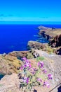 Panorama view of the wild coast and cliffs at Ponta de Sao Lourenco, Madeira island, Portugal Royalty Free Stock Photo